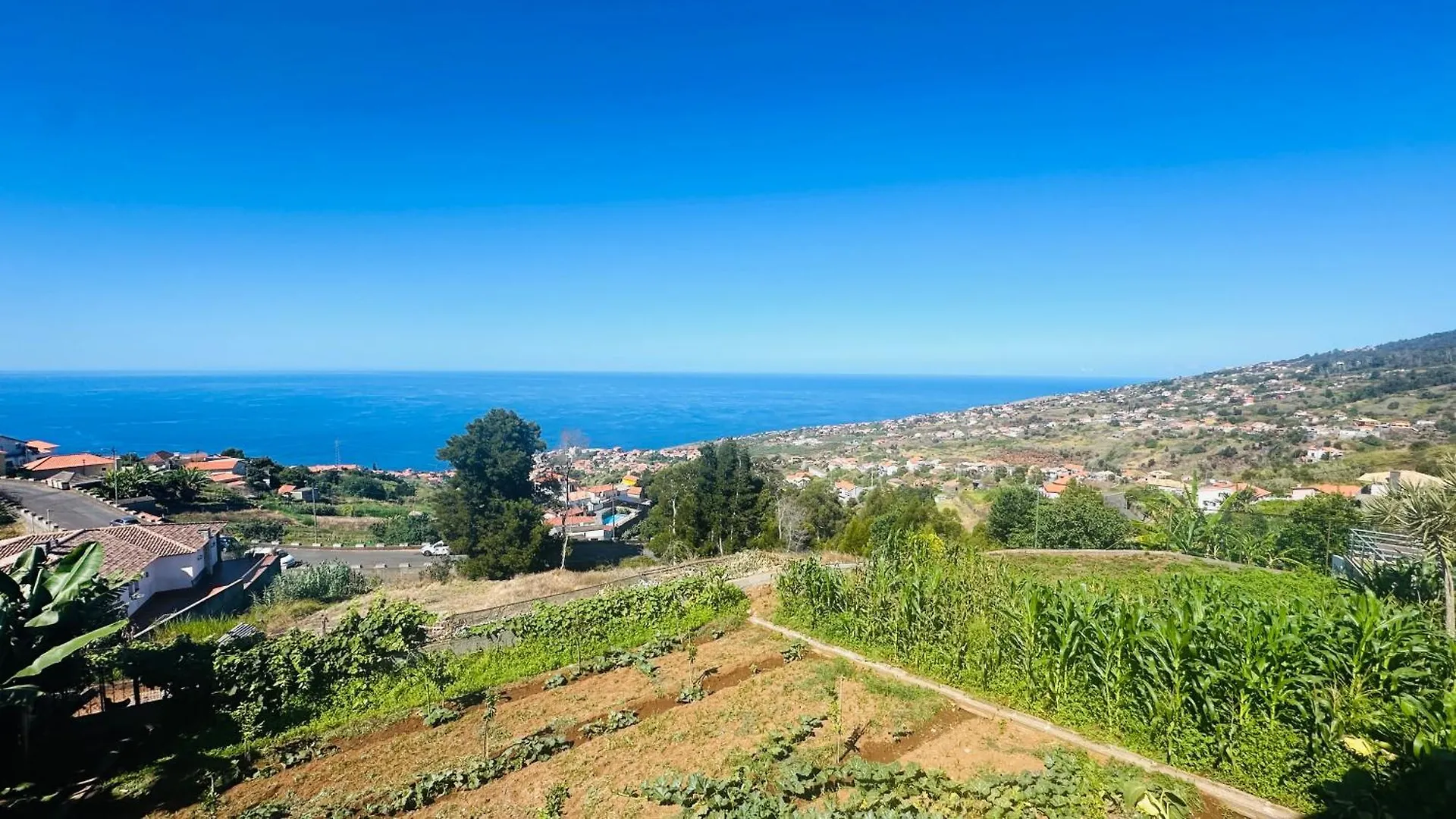 Vendégház Casa Malee Hotel Calheta