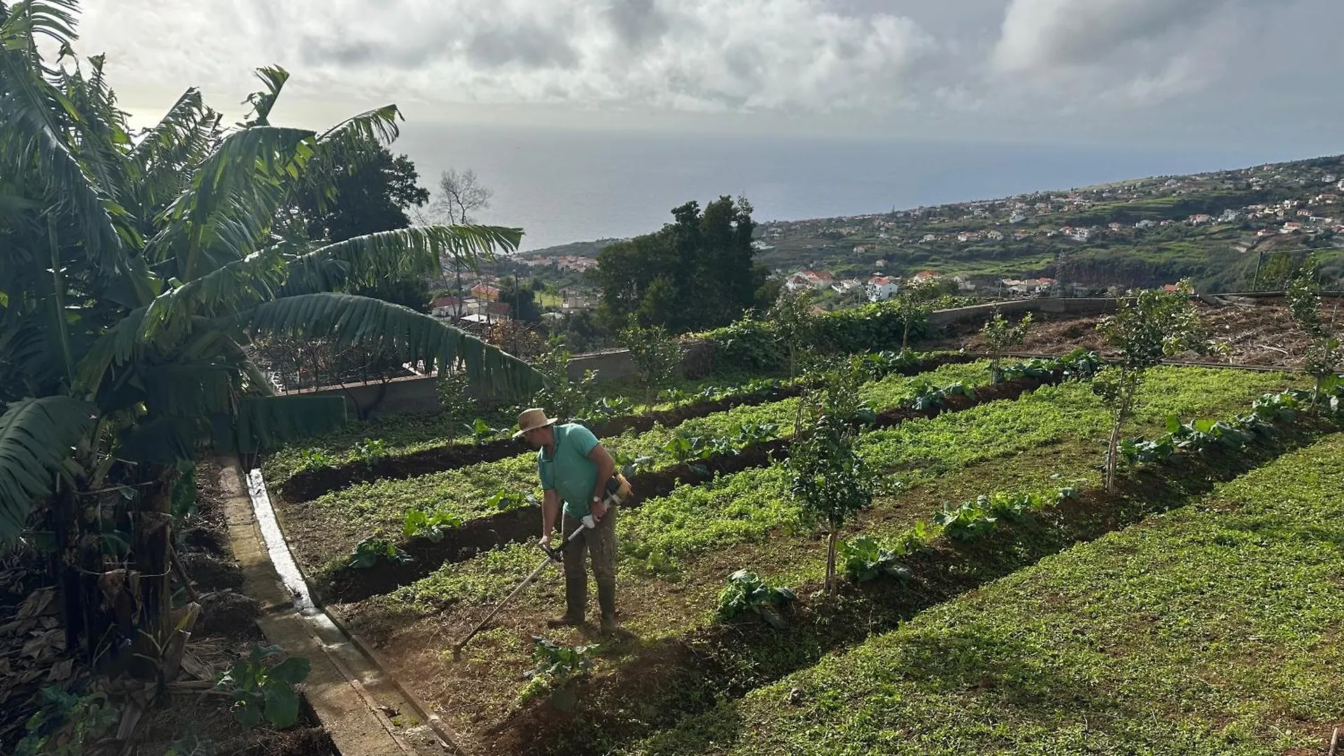 Vendégház Casa Malee Hotel Calheta Portugália